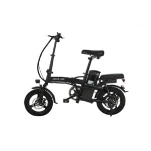 Green Lion GBK-100 Electric Bike
