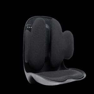 Green Lion Lumbar Pro Adjustable Back Support